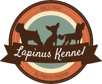 Canil Lapinus - Chihuahua e Griffon de Bruxelas